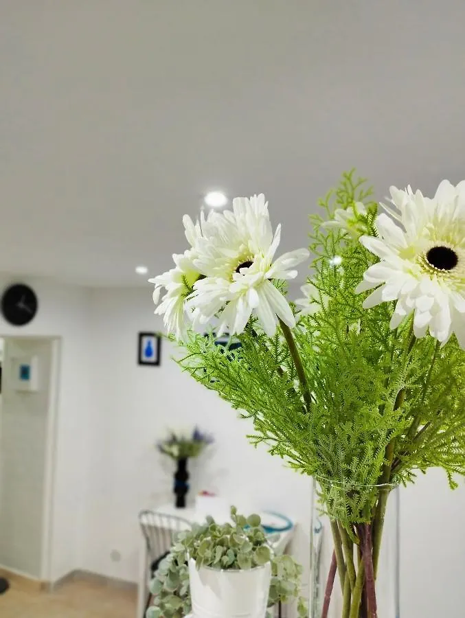Pazzariello Holiday Home - Casa Vacanza Napoli Centro Storico 0*, Naples Italy